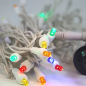 12 Volt LED Lights Multicolor on White Wire