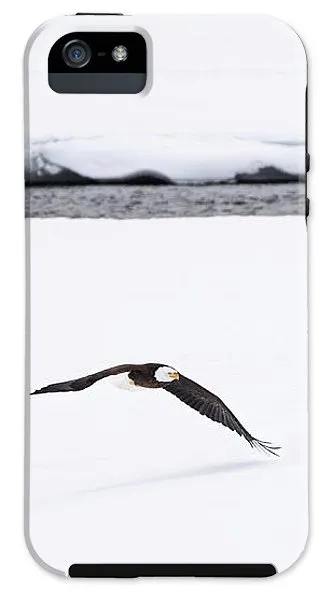 Bald Eagle Fly By - Phone Case