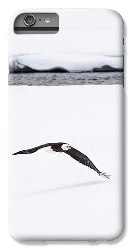 Bald Eagle Fly By - Phone Case