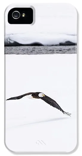 Bald Eagle Fly By - Phone Case