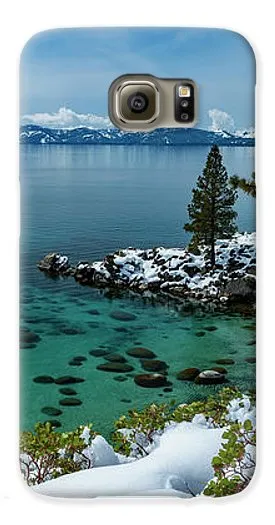 Blue Bird Secret Cove By Brad Scott - Phone Case