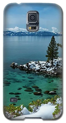 Blue Bird Secret Cove By Brad Scott - Phone Case