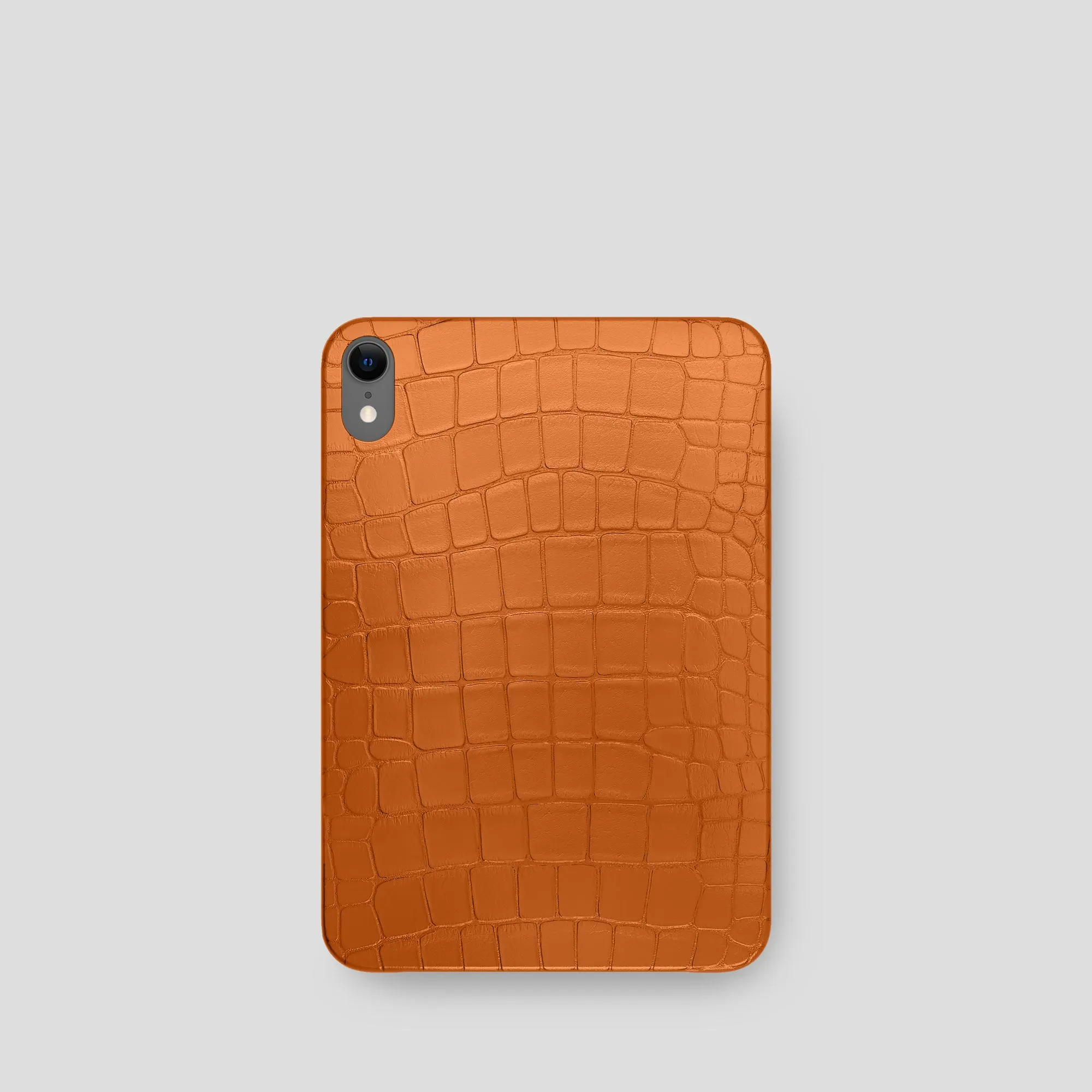 Case For iPad mini (7th gen) In Alligator