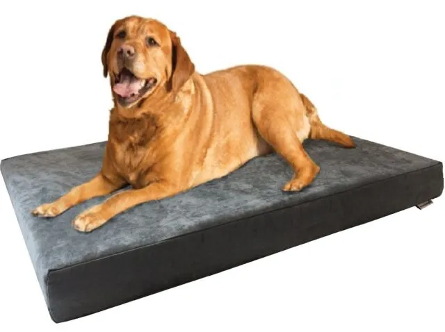 Dogbed4less Jumbo Extra Large Gel Infused Memory Foam Dog Bed with Heavy Duty Cover and Waterproof Liner, 55X37X8 Inches