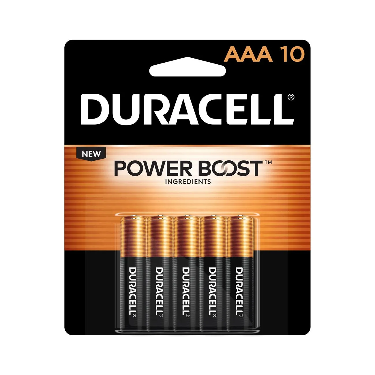 MN2400B10Z Duracell, MN2400 Alkaline Battery, AAA, Coppertop, 10PK