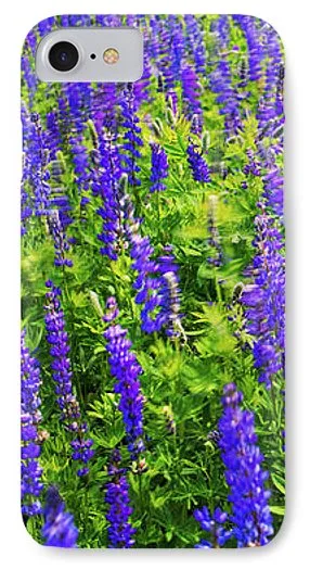 Windy Lupines By Brad Scott - Phone Case