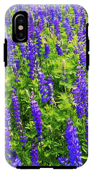 Windy Lupines By Brad Scott - Phone Case