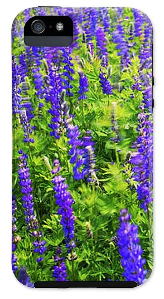 Windy Lupines By Brad Scott - Phone Case