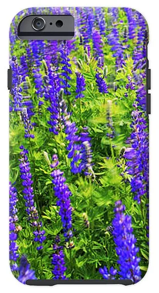 Windy Lupines By Brad Scott - Phone Case