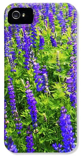 Windy Lupines By Brad Scott - Phone Case