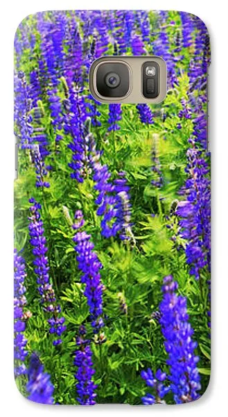 Windy Lupines By Brad Scott - Phone Case