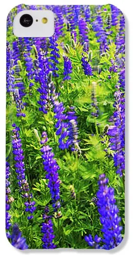 Windy Lupines By Brad Scott - Phone Case