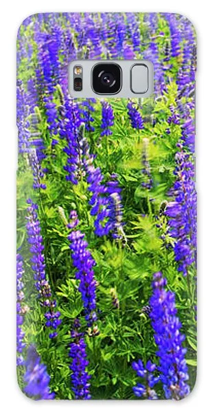 Windy Lupines By Brad Scott - Phone Case