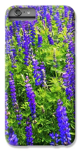 Windy Lupines By Brad Scott - Phone Case