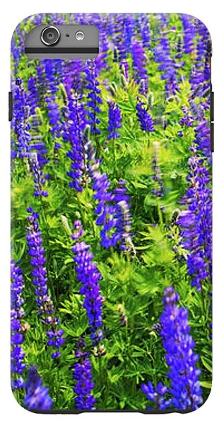 Windy Lupines By Brad Scott - Phone Case